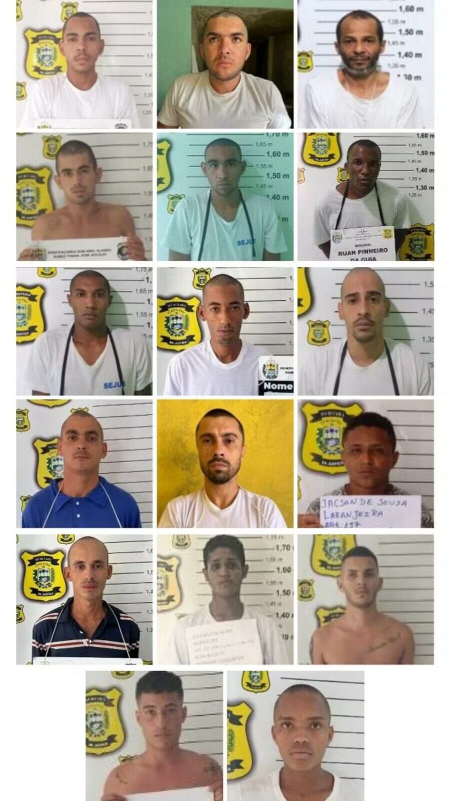 Imagem WhatsApp Image 2024-02-19 at 15.27.52